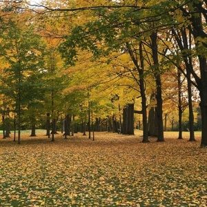 Meet your Posher, Nina